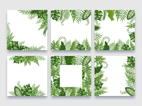 多种绿色叶片背景创意设计插图