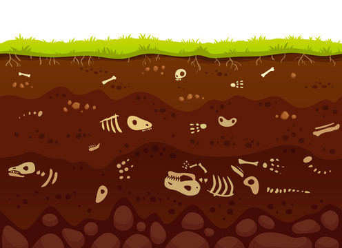 土壤层动物骨骸卡通插图