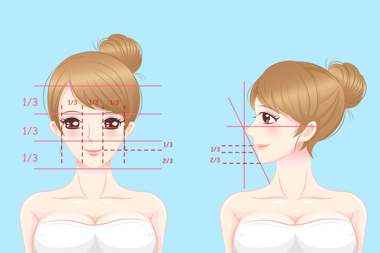 少女醫(yī)美手術(shù)前 臉部比例結(jié)構(gòu)插圖