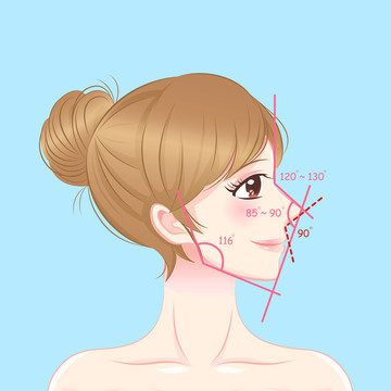 女孩隆鼻角度結(jié)構(gòu)插圖