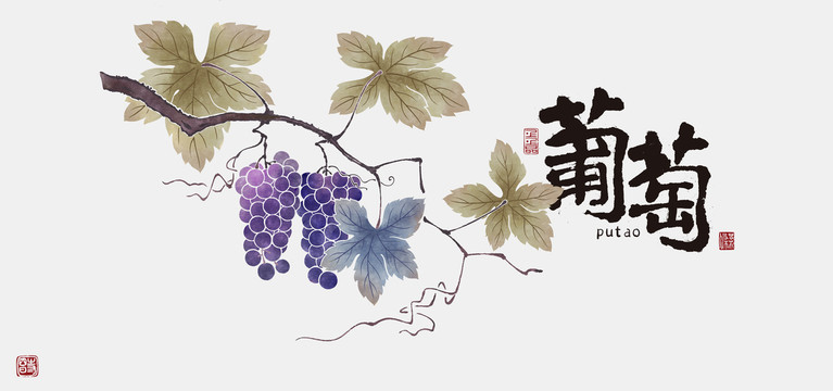 葡萄插圖帶獨立線稿