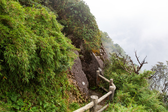 广西桂林猫儿山景区游览步道