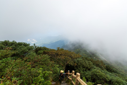 广西桂林猫儿山山顶风光