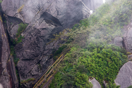 猫儿山登山栈道风光