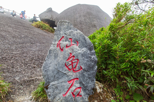 猫儿山景区仙龟石