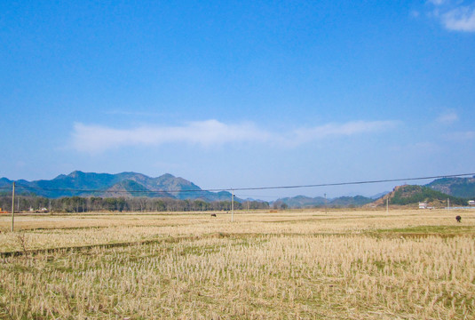 中国江西南方乡村秋冬野外自然风