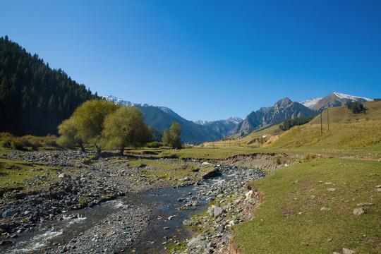 新疆南山之自然风景