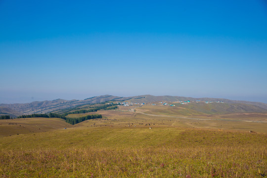 新疆南山之自然风景