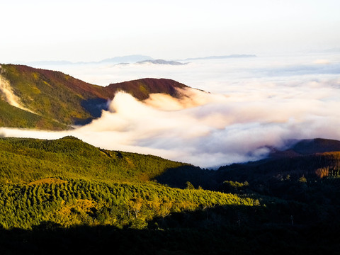 美姑龙头山云海牛背山云海佛光