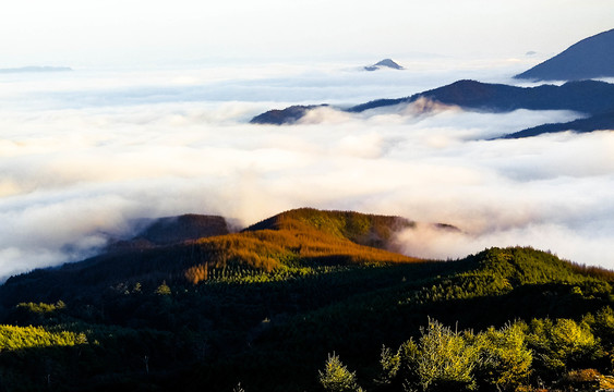 美姑龙头山云海牛背山云海佛光