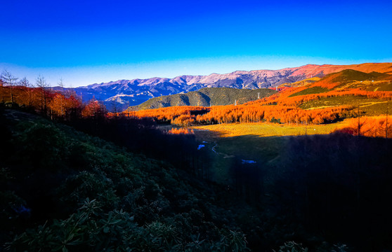 美姑龙头山林海雪原川西红叶