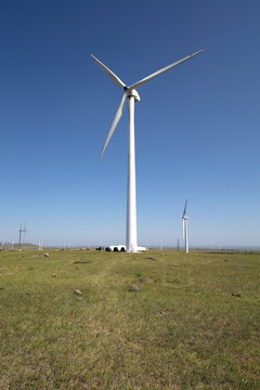 中国张北县草原上的发电风车