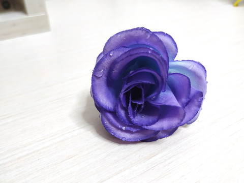 一朵紫色的玫瑰花