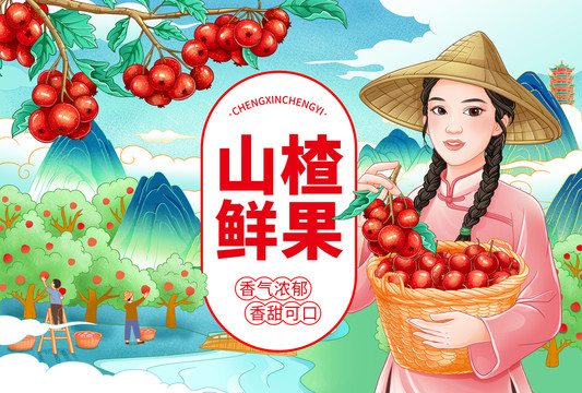 農(nóng)家女孩摘山楂插畫