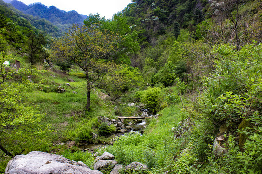 秦岭汤峪风光