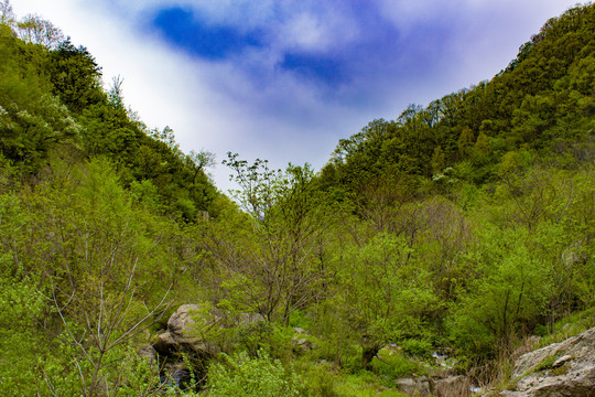 终南山谷