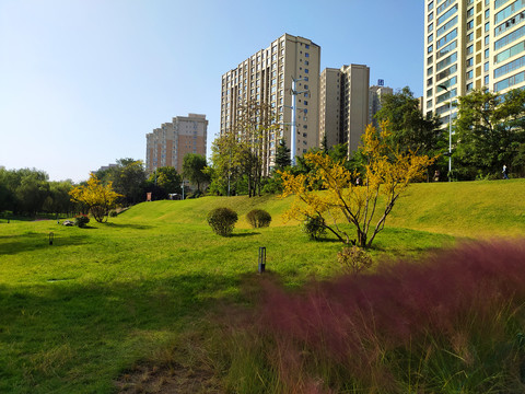 景观园林城市风光