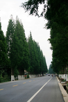 乡村公路