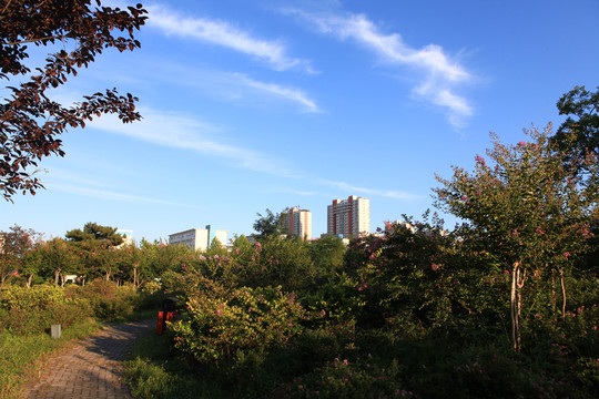 日照大学城公园