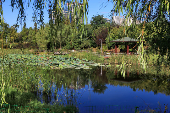 日照大学城公园