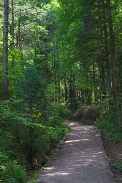 湖北黄冈罗田大别山薄刀锋风景区