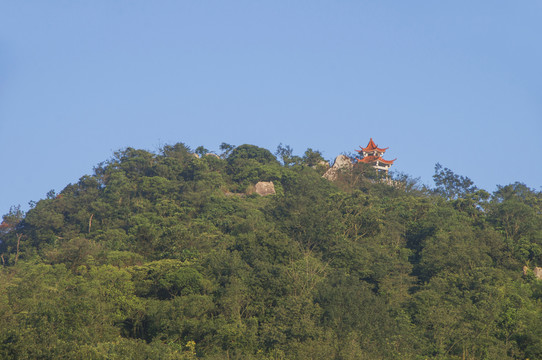 紫帽山山头