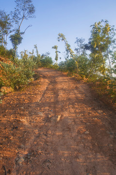 红土坡路