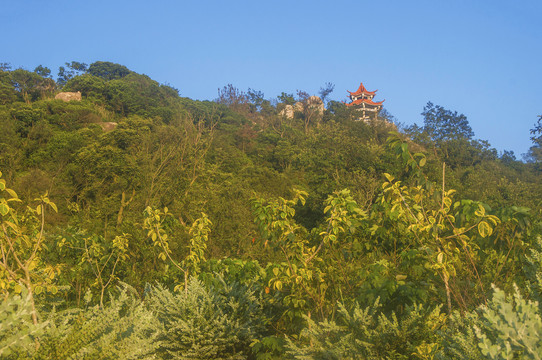 秋色山峦风景