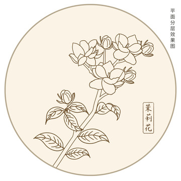 茉莉花茶线描