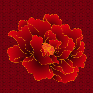 紅牡丹