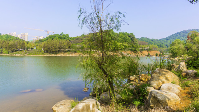 尖山湖公园湖景