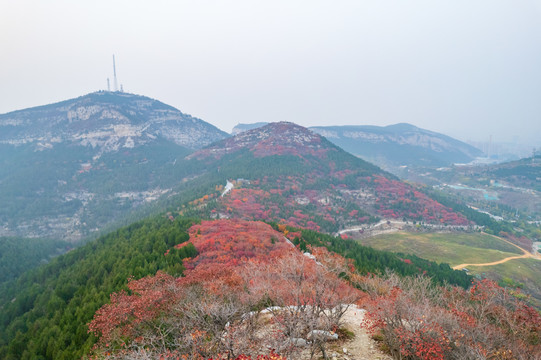 航拍济南蝎子山蚰蜒山红叶