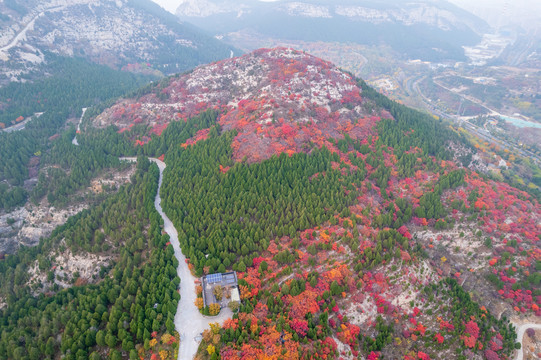 航拍济南蝎子山蚰蜒山红叶