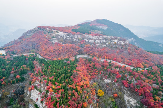 航拍济南蝎子山蚰蜒山红叶