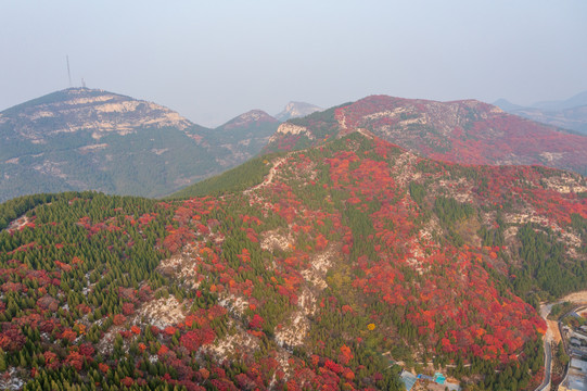 航拍济南蝎子山蚰蜒山红叶