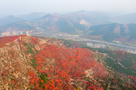 航拍济南蝎子山蚰蜒山红叶