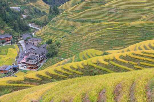 山区梯田