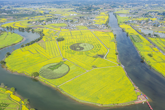 潼南油菜花基地