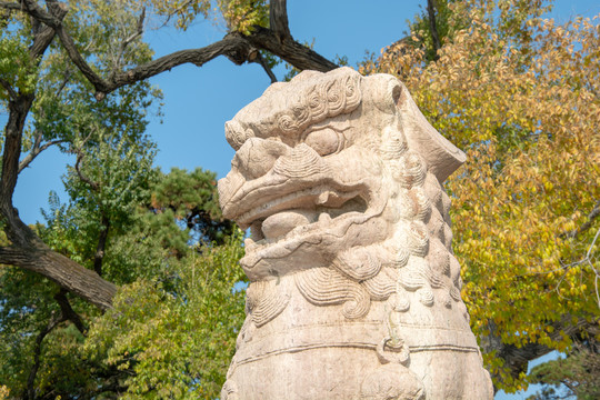 東陵公園