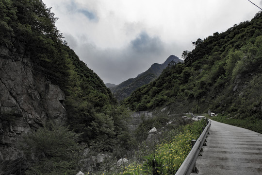 秦岭旧照片