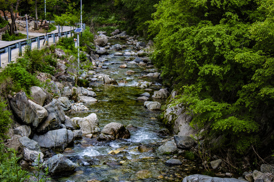 路边溪流