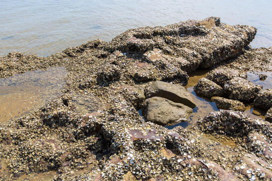 防城港簕山古渔村礁石