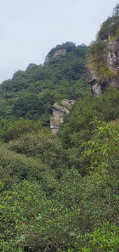 山里风景