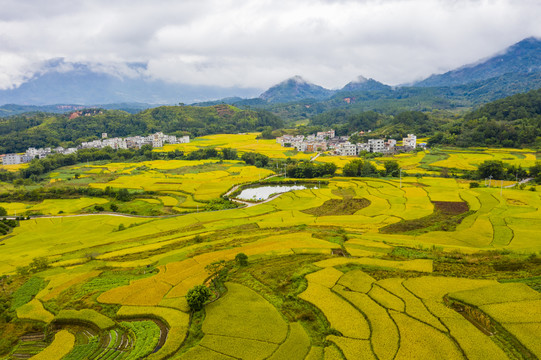 广东封开大地铺金乡村如画