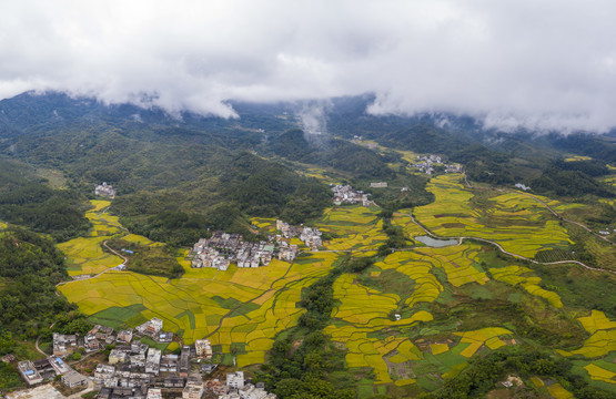 广东封开大地铺金乡村如画