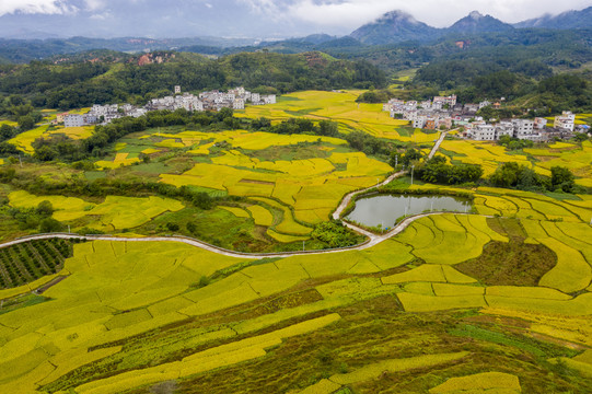 广东封开大地铺金乡村如画