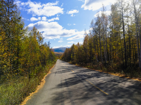 森林道路秋色