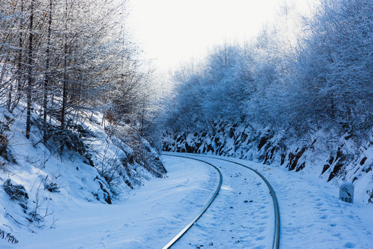 冬季铁路雾凇树林