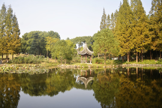 湖畔美景