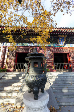 紅葉掩映下的北京香山公園勤政殿